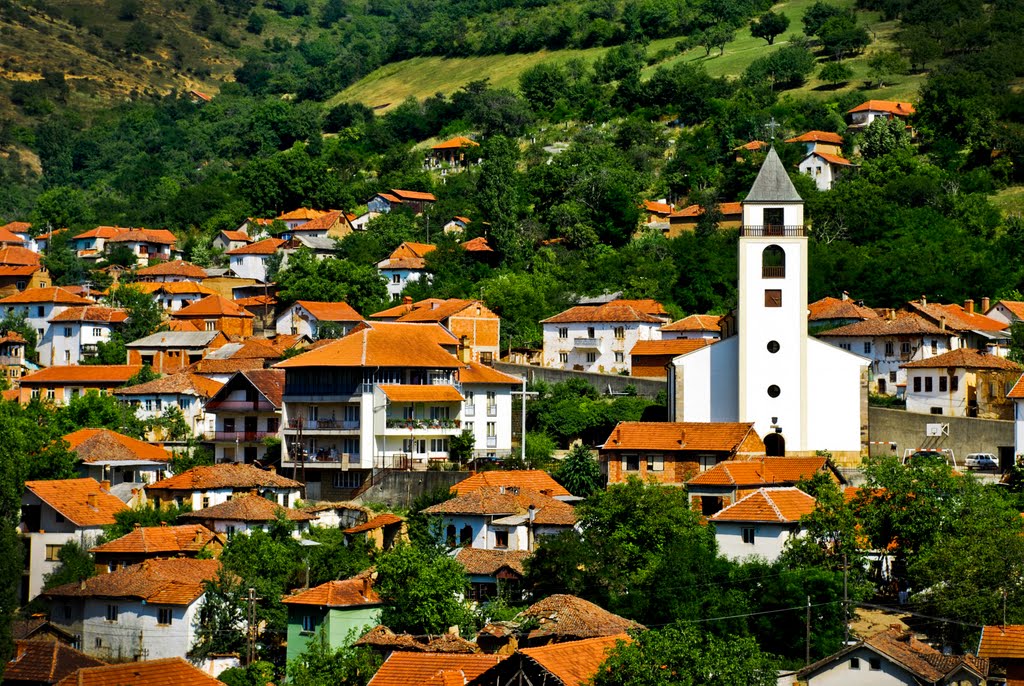 Banorët e fshatit Janjevë në hall nga hajnat (Video)