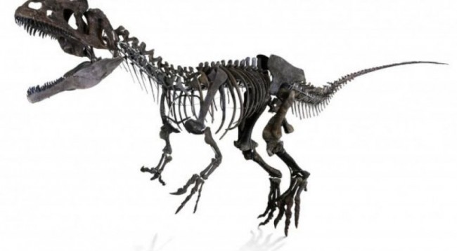 Parisi shet skeletin e dinozaurit për miliona euro