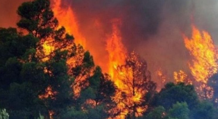 Alarm nga zjarret në Shqipëri, këto janë pesë zonat më të rrezikuara