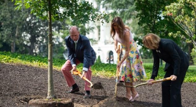 Melania Trump në kopsht si në pasarelë, mbjell një pemë me taka të larta