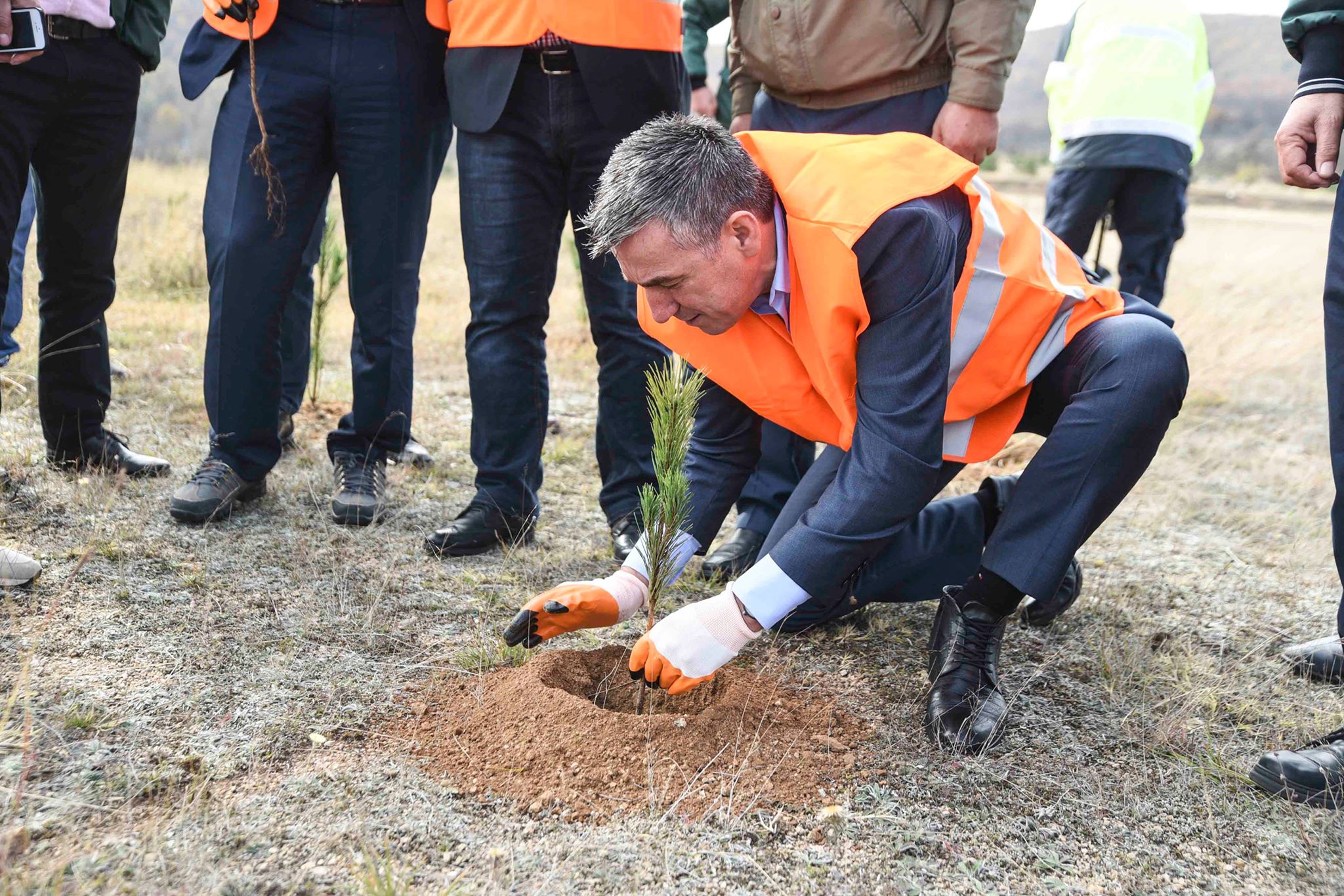 Veseli në Gjilan mbjell fidane, bën thirrje për ruajtje të ambientit (FOTO)