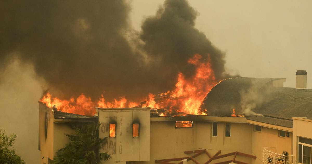 Zjarret në Kaliforni, shkrumbohen shtëpitë e VIP-ave