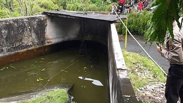 Krokodili ha të gjallë shkencëtaren, ajo shkoi për ta ushqyer