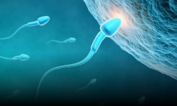Shkaqet e infertilitetit, kosovarët dyshohet se kanë cilësinë më të dobët të spermës në rajon