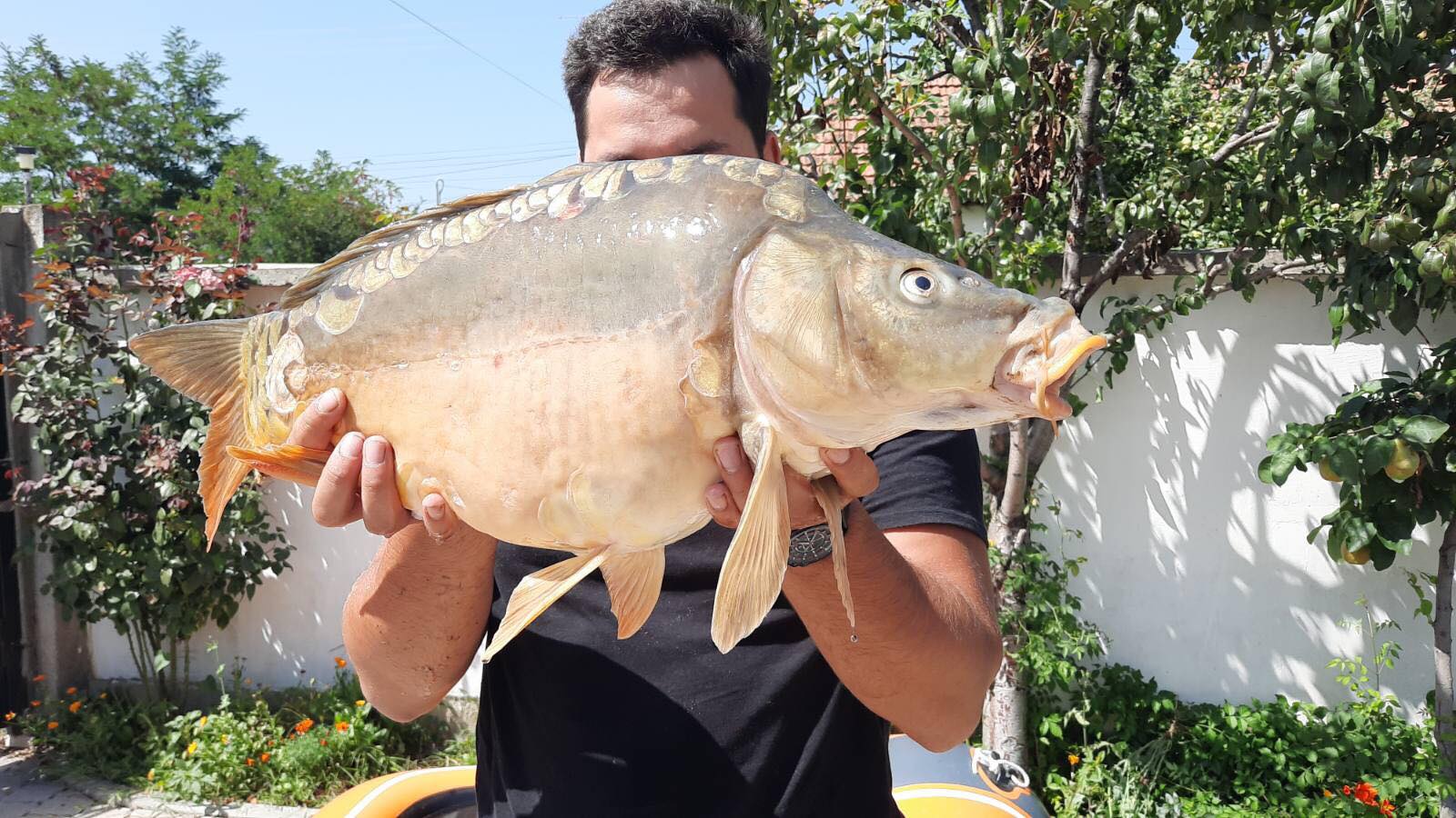 Lipjanasi kap peshkun gjigant prej 22 kg, zbulon pse nuk do ta hajë!