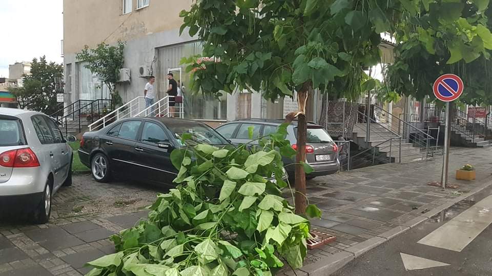 Dimër në verë, stuhia godet edhe Lipjanin, qytetarët ikin me vrap, era thyen pemët, ikin dritat